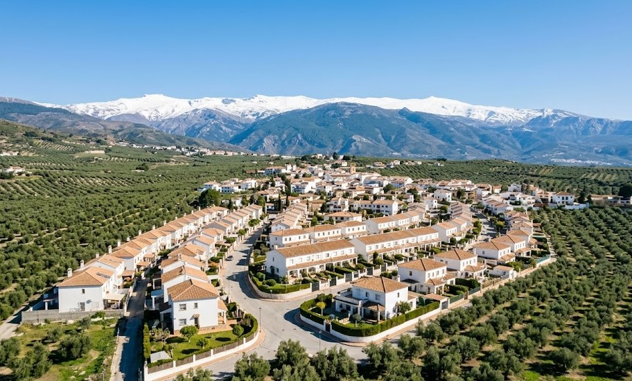 Vista del municipio de Gójar rodeado de olivares